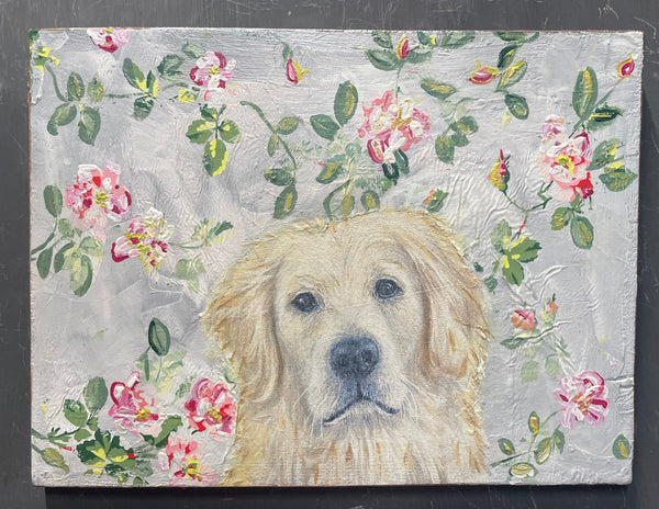 Playful Dog - Jul 25, 1-3 PM