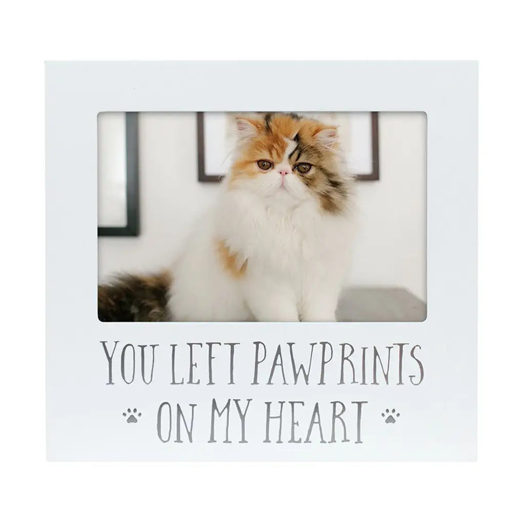 You Left Pawprints on My Heart