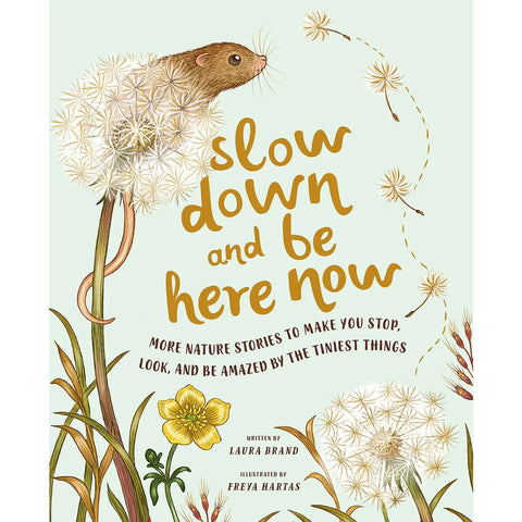 Slow Down and Be Here Now Book