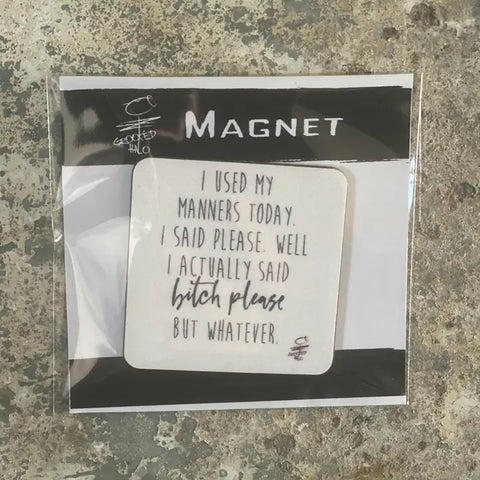 Bitch Please Magnet