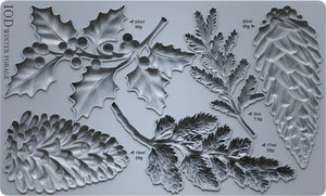Winter Forage Mould
