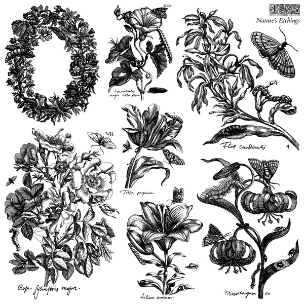 Nature's Etchings Stamp