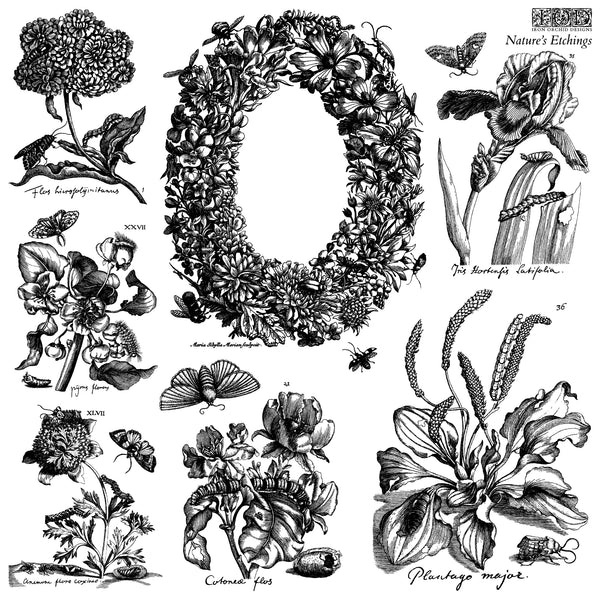 Nature's Etchings Stamp