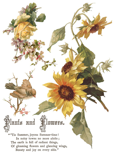Flowers by the Poet Transfer Pad