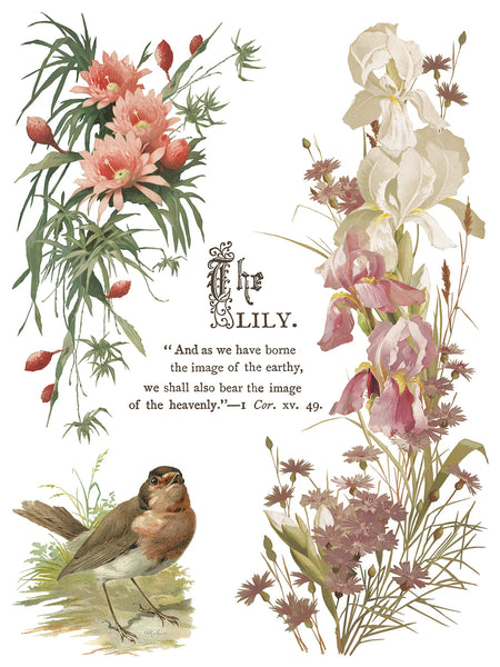 Flowers by the Poet Transfer Pad