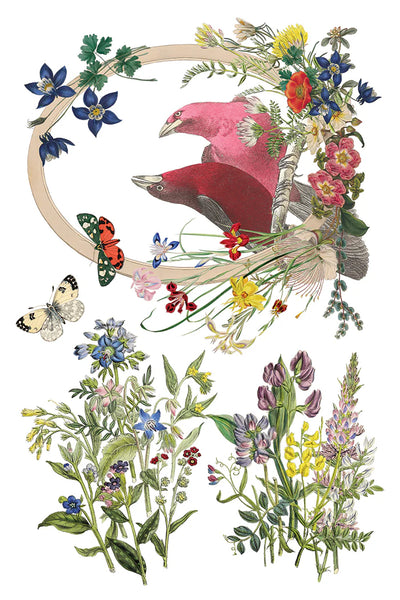 Flora Greca Transfer Pad