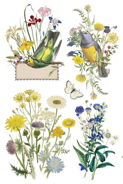 Flora Greca Transfer Pad
