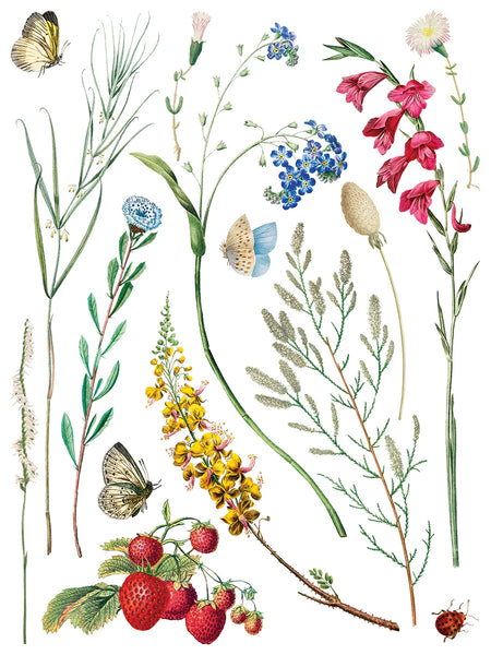 Marché des Fleurs Transfer Pad