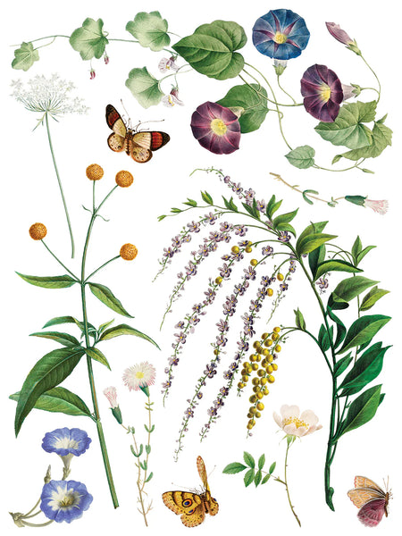 Marché des Fleurs Transfer Pad