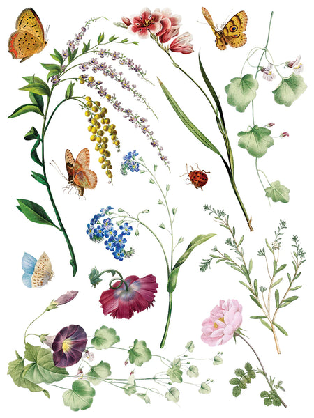 Marché des Fleurs Transfer Pad