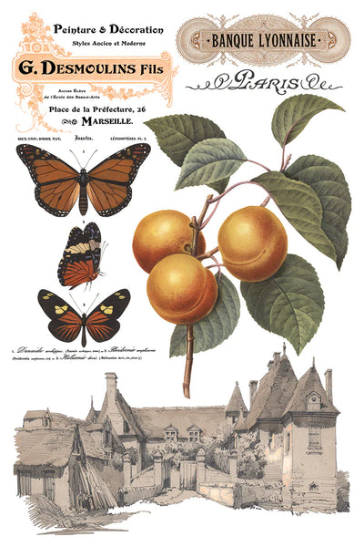 Saint Ouen Transfer Pad