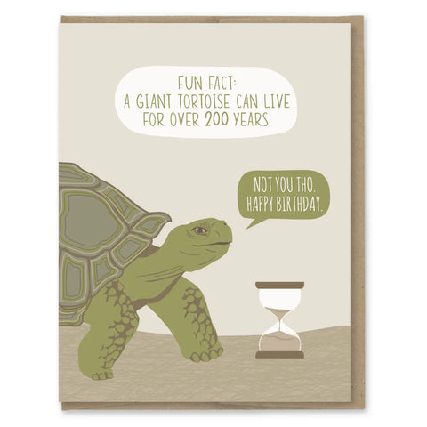 Tortoise Fact Birthday Card