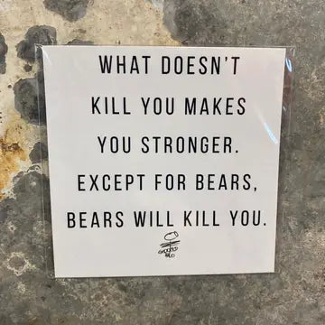 Bears Will Kill You Magnet