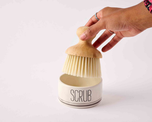 Scrub Brush & Dish Set