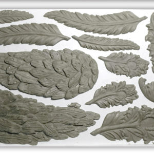 Wings & Feathers